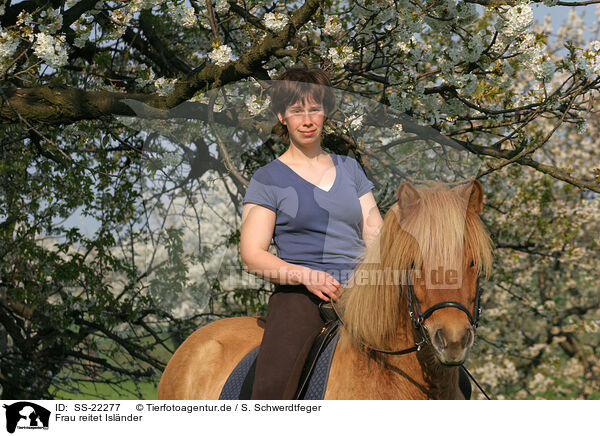 Frau reitet Islnder / woman rides Icelandic horse / SS-22277
