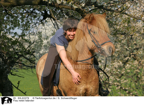Frau reitet Islnder / woman rides Icelandic horse / SS-22279