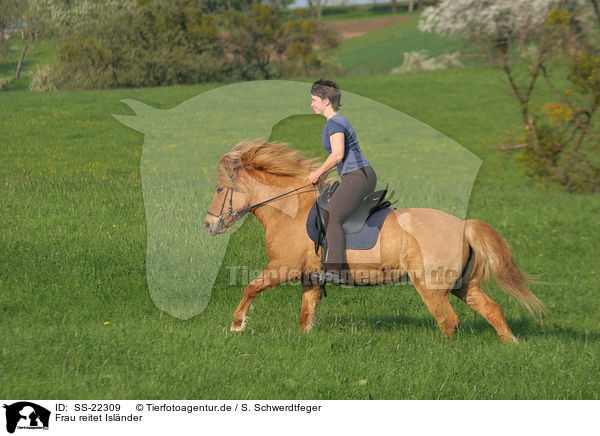 Frau reitet Islnder / woman rides Icelandic horse / SS-22309