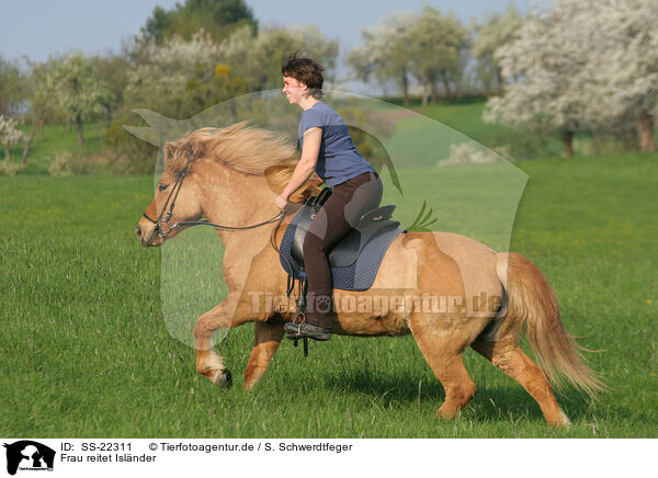 Frau reitet Islnder / woman rides Icelandic horse / SS-22311