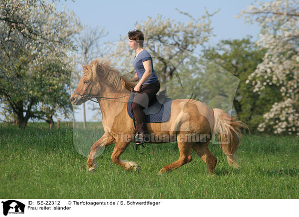 Frau reitet Islnder / woman rides Icelandic horse / SS-22312