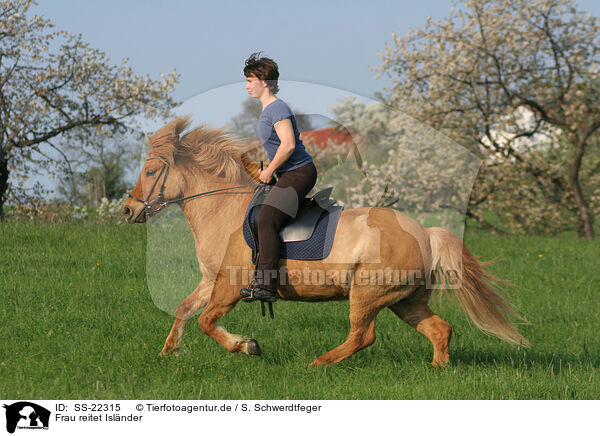Frau reitet Islnder / woman rides Icelandic horse / SS-22315