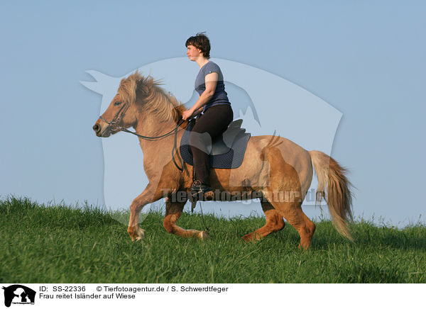 Frau reitet Islnder / woman rides Icelandic horse / SS-22336