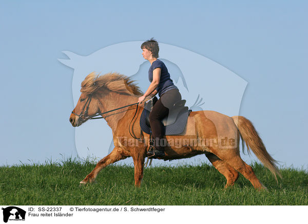Frau reitet Islnder / woman rides Icelandic horse / SS-22337