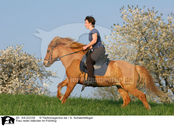 Frau reitet Islnder / woman rides Icelandic horse / SS-22339