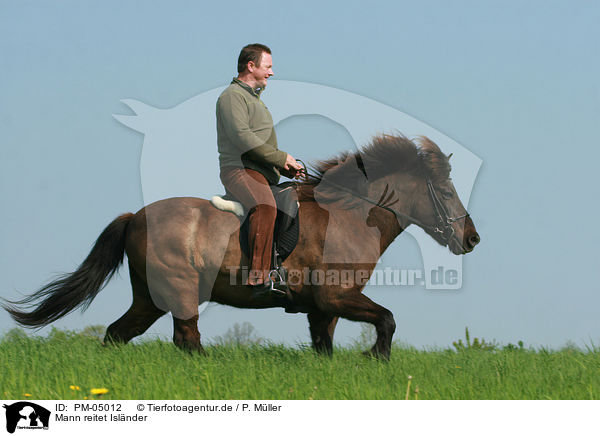 Mann reitet Islnder / man rides Icelandic horse / PM-05012