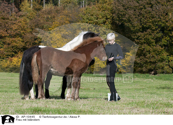 Frau mit Islndern / woman with Icelandic horses / AP-10445