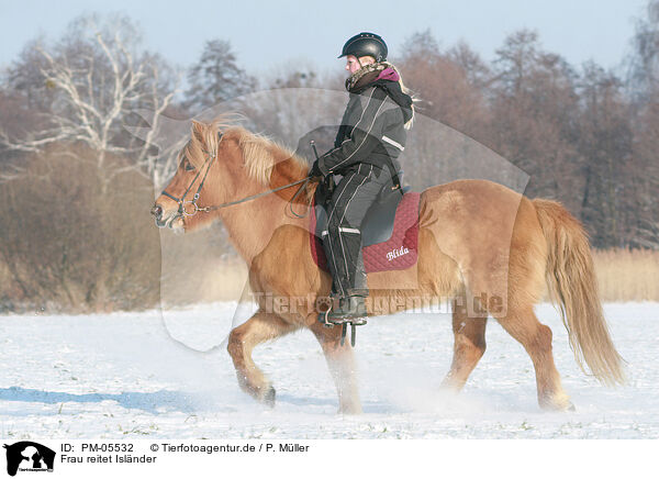 Frau reitet Isl�nder / woman rides Icelandic horse / PM-05532