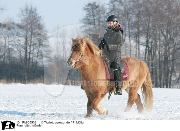 Frau reitet Islnder / woman rides Icelandic horse / PM-05533