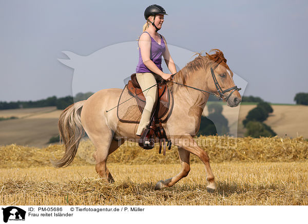 Frau reitet Islnder / woman rides Icelandic horse / PM-05686