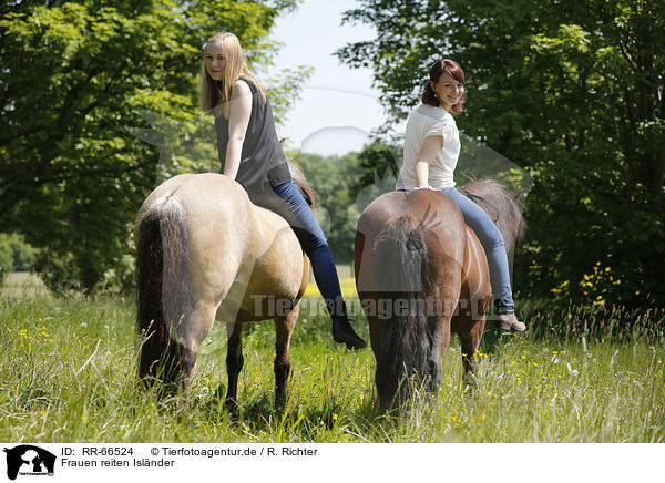 Frauen reiten Islnder / women rides Icelandic horses / RR-66524