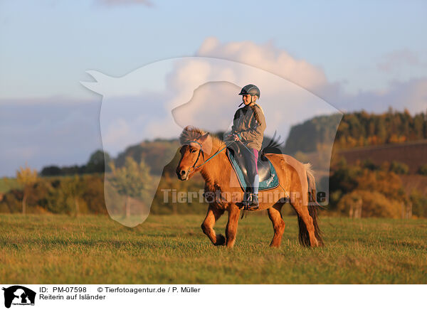 Reiterin auf Islnder / rider on Icelandic horse / PM-07598