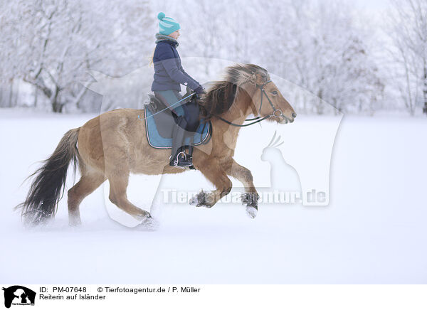 Reiterin auf Islnder / rider on Icelandic horse / PM-07648