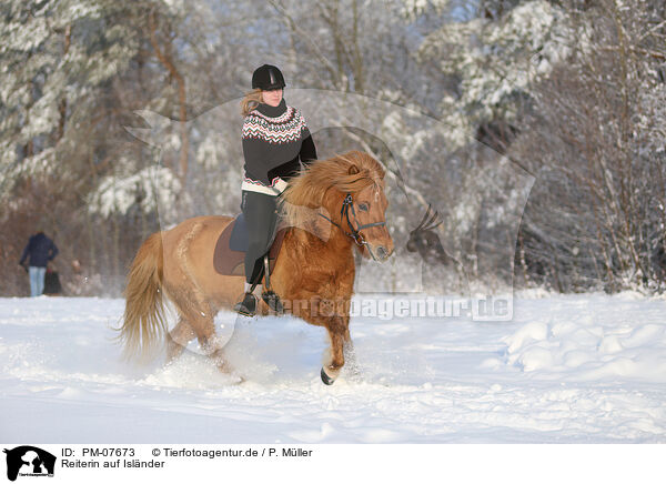 Reiterin auf Islnder / rider on Icelandic horse / PM-07673