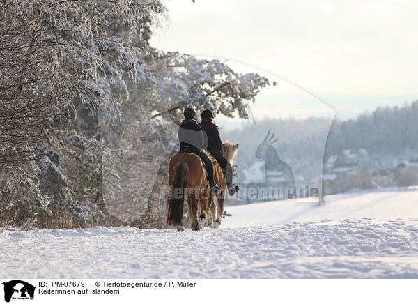 Reiterinnen auf Islndern / riders on Icelandic horses / PM-07679