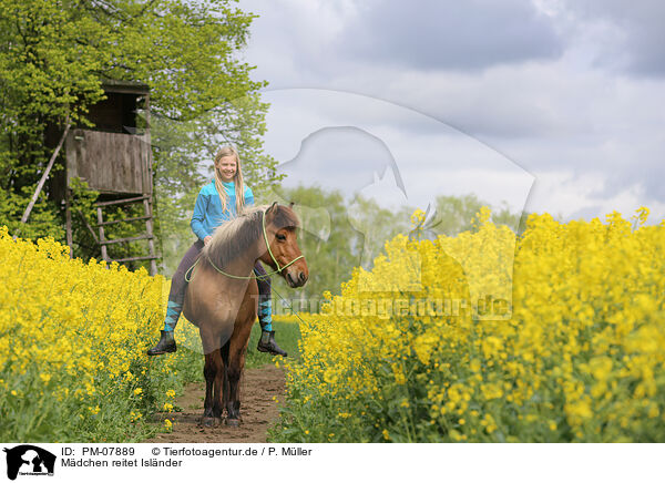 Mdchen reitet Islnder / girl rides Icelandic horse / PM-07889