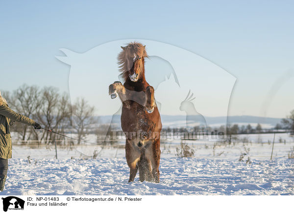 Frau und Islnder / woman and Icelandic horse / NP-01483