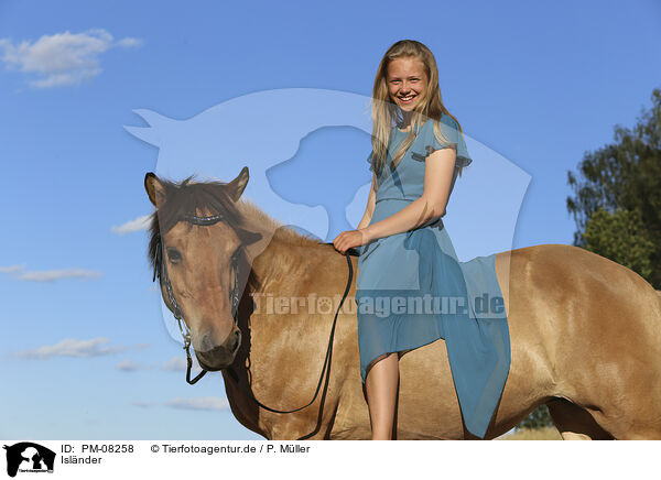 Islnder / Icelandic horse / PM-08258