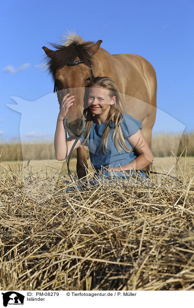Islnder / Icelandic horse / PM-08279