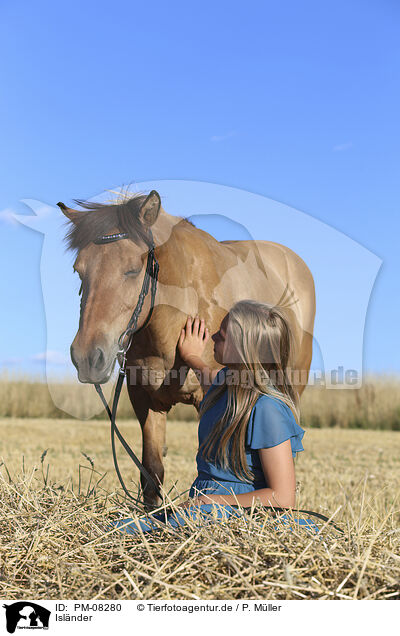 Islnder / Icelandic horse / PM-08280