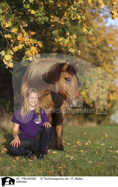 Islnder / Icelandic horse / PM-08388