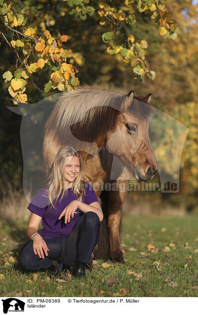 Islnder / Icelandic horse / PM-08389
