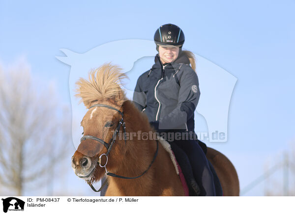 Islnder / Icelandic horse / PM-08437