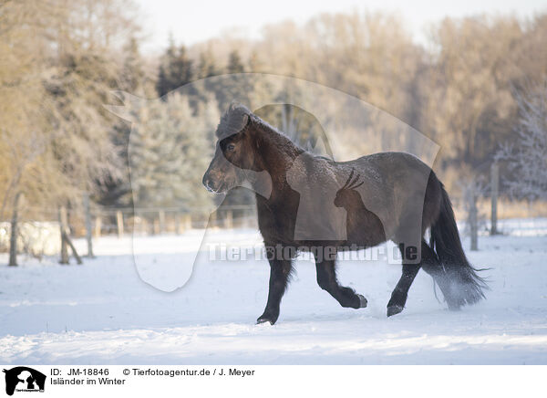 Islnder im Winter / JM-18846