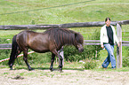 Frau und Islnder