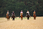 Frauen reiten Islnder