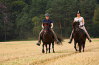 Frauen reiten Islnder