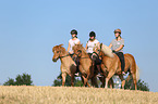 Frauen reiten Islnder