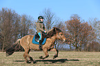 Frau reitet Islnder