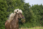 Islnder im Sommer