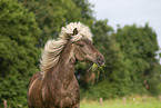 Islnder im Sommer