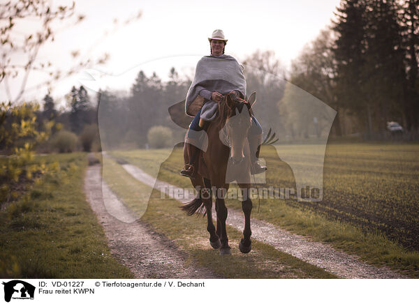 Frau reitet KWPN / woman rides Dutch Warmblood / VD-01227