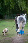 Frau mit Pferd und Hund