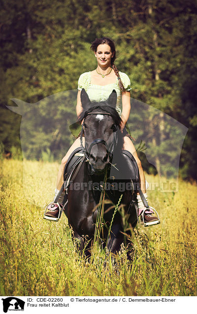 Frau reitet Kaltblut / woman rides coldblood / CDE-02260