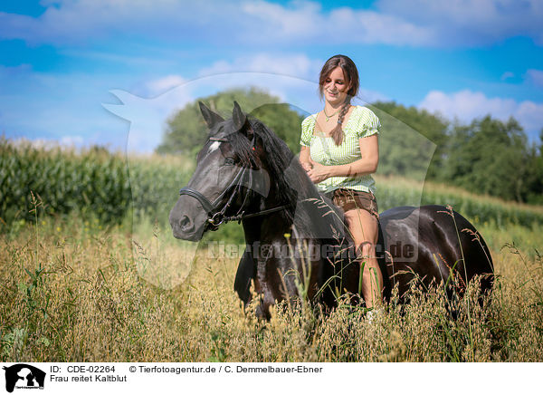 Frau reitet Kaltblut / woman rides coldblood / CDE-02264