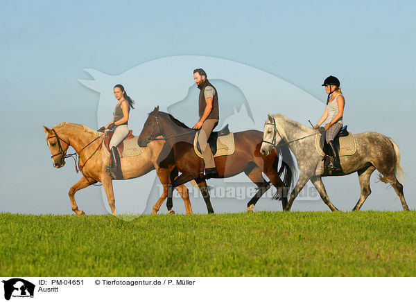Ausritt / riding / PM-04651