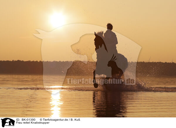 Frau reitet Knabstrupper / woman rides knabstrup horse / BK-01390