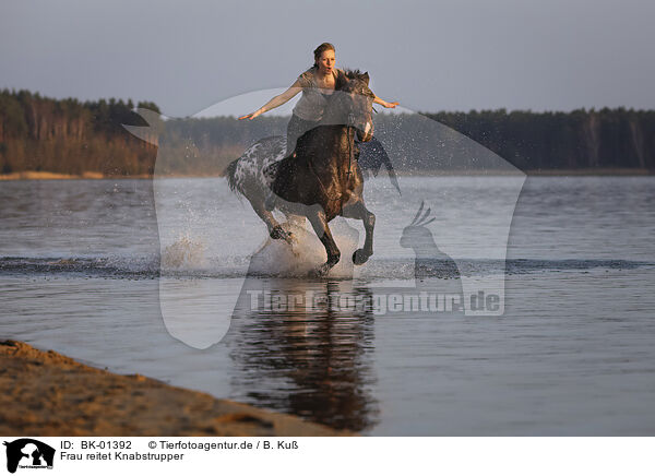 Frau reitet Knabstrupper / woman rides knabstrup horse / BK-01392