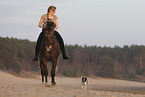 Frau mit Hund reitet Knabstrupper
