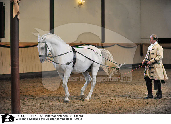 Wolfgang Krischke mit Lipizzaner Maestoso Amata / Wolfgang Krischke mit Lipizzaner Maestoso Amata / SST-07917