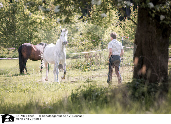 Mann und 2 Pferde / man and 2 horses / VD-01235