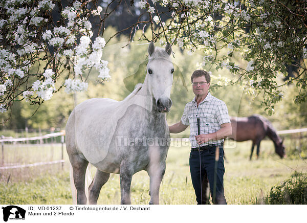 Mann und 2 Pferde / man and 2 horses / VD-01237