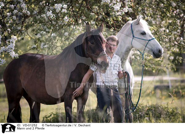 Mann und 2 Pferde / VD-01252
