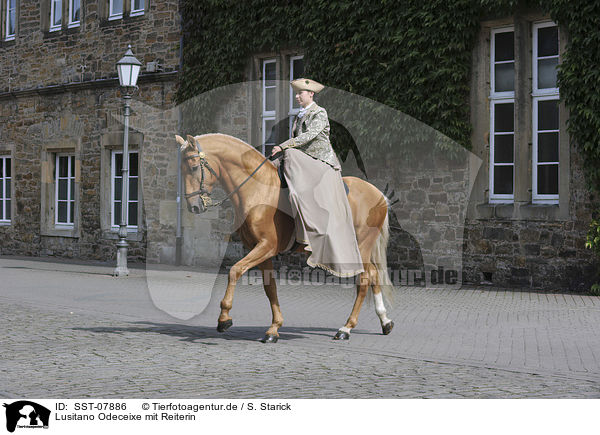 Lusitano Odeceixe mit Reiterin / Lusitano Odeceixe mit Reiterin / SST-07886