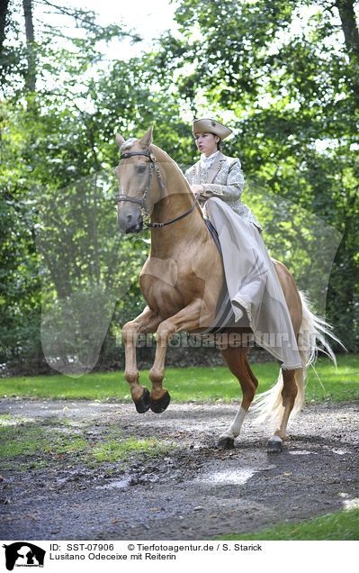 Lusitano Odeceixe mit Reiterin / Lusitano Odeceixe mit Reiterin / SST-07906