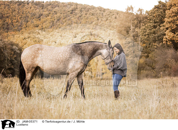 Lusitano / Lusitano / JAM-05371